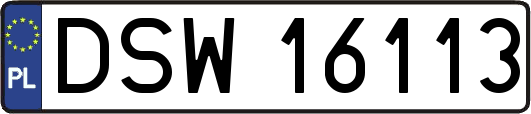 DSW16113