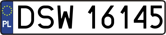 DSW16145