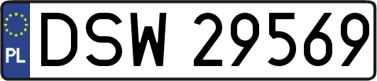 DSW29569