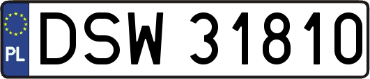 DSW31810