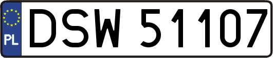 DSW51107