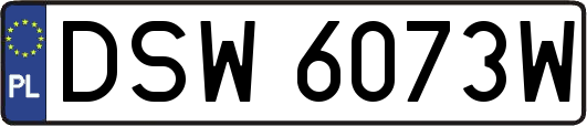 DSW6073W