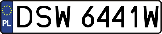 DSW6441W