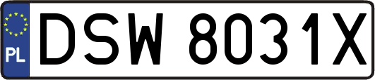 DSW8031X