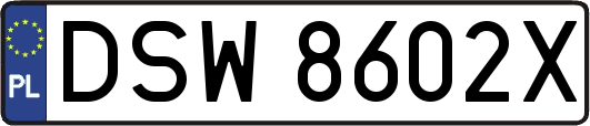 DSW8602X