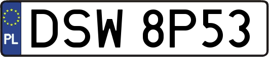 DSW8P53