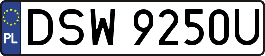 DSW9250U