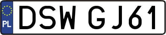 DSWGJ61