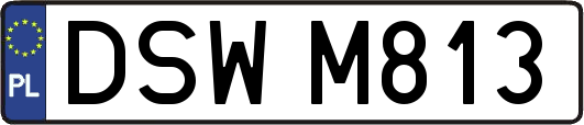 DSWM813