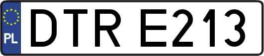 DTRE213