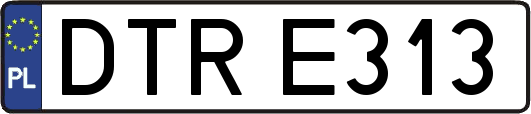 DTRE313