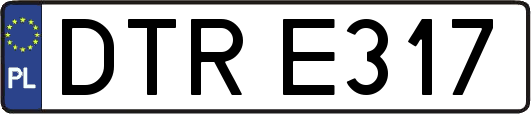 DTRE317