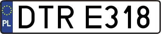 DTRE318