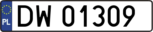 DW01309