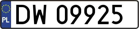 DW09925