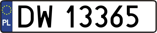 DW13365
