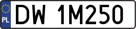 DW1M250