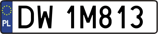 DW1M813