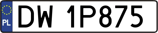 DW1P875