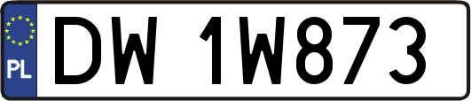 DW1W873