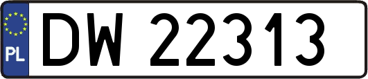 DW22313