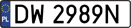 DW2989N