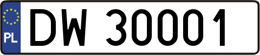 DW30001