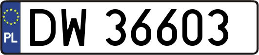 DW36603