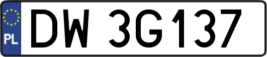 DW3G137