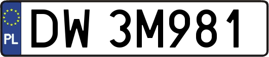 DW3M981