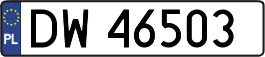 DW46503