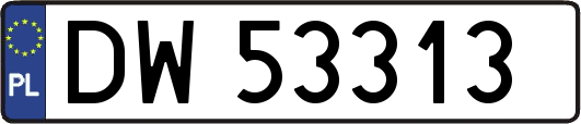 DW53313