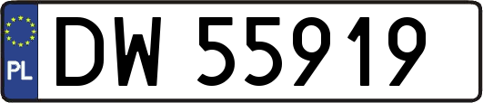 DW55919
