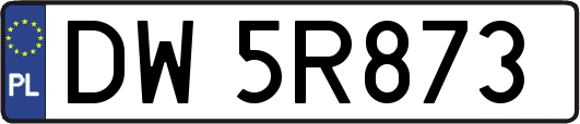 DW5R873