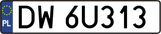 DW6U313