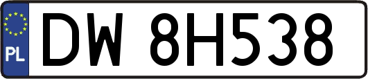 DW8H538