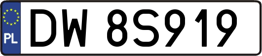 DW8S919