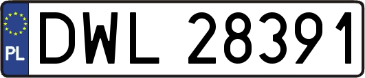DWL28391