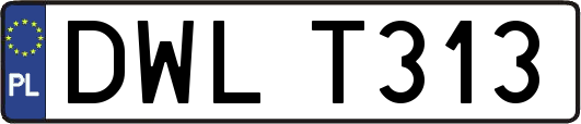 DWLT313