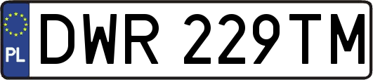 DWR229TM
