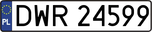 DWR24599
