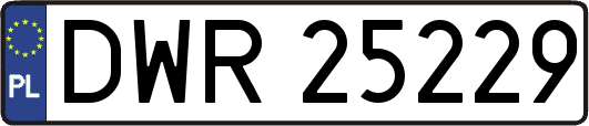 DWR25229