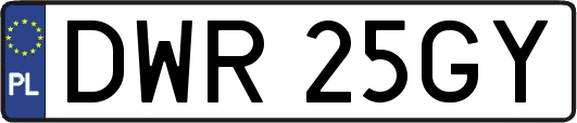 DWR25GY