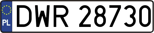DWR28730