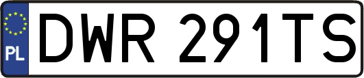 DWR291TS
