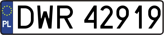 DWR42919