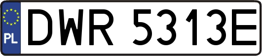 DWR5313E