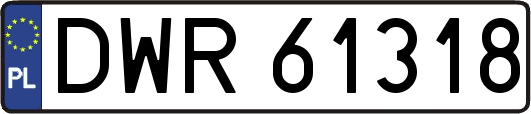 DWR61318