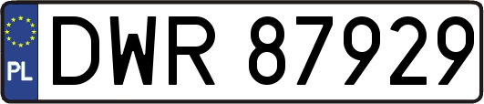 DWR87929