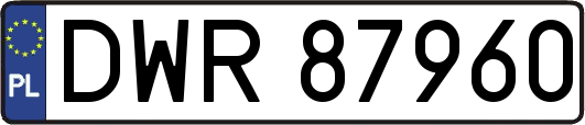 DWR87960